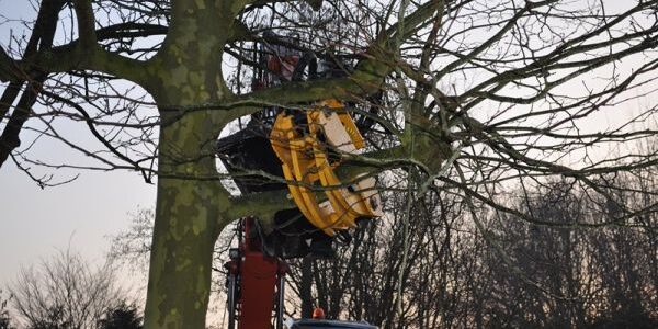 vellen en versnipperen met nieuwe velkop